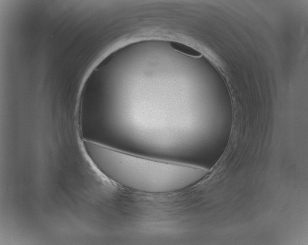 X0000070161536200605260926