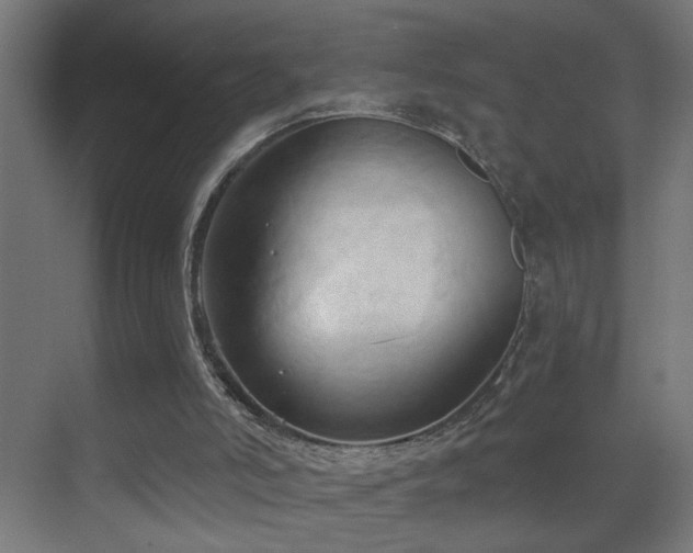 X0000070160006200605261142