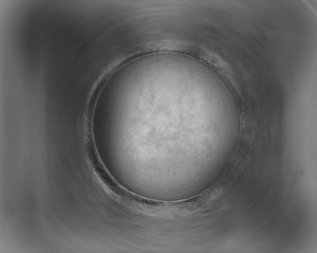 X0000070160012200605261142