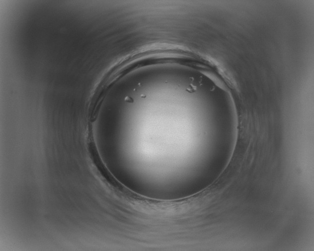 X0000070160015200605261142