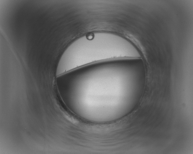 X0000070160017200605261142