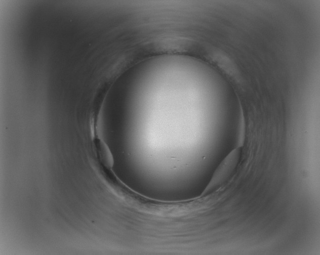 X0000070160021200605261141