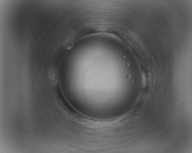 X0000070160031200605261141