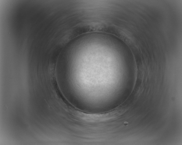 X0000070160034200605261141