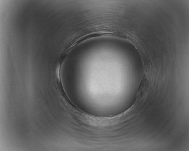 X0000070160047200605261141