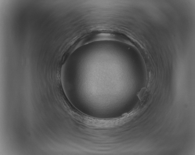 X0000070160048200605261141