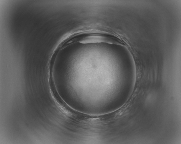 X0000070160054200605261140