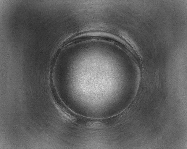 X0000070160058200605261140