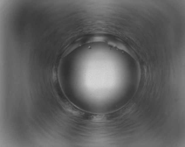 X0000070160088200605261141