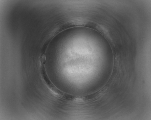 X0000070160114200605261140