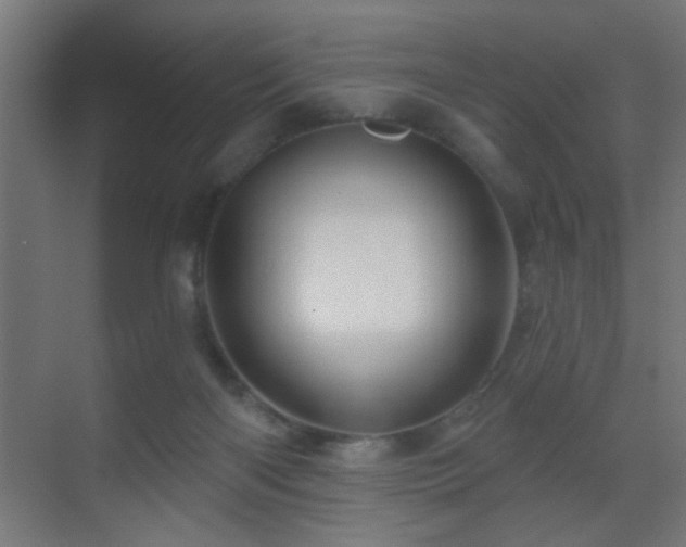 X0000070160122200605261140