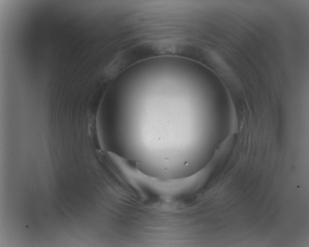 X0000070160125200605261140