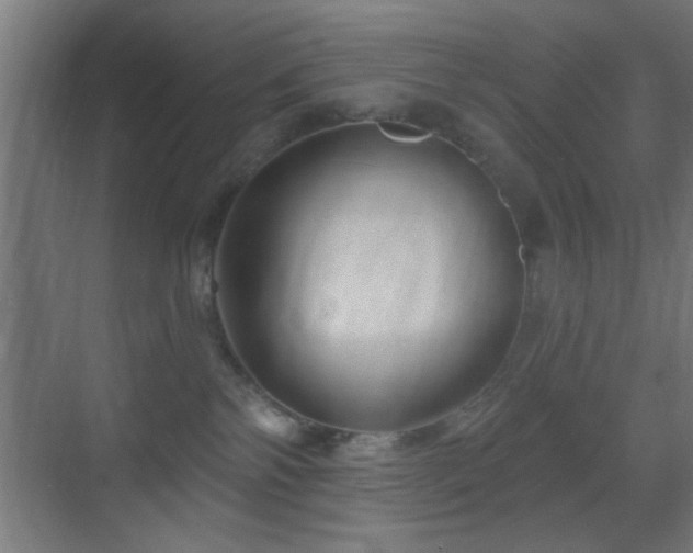 X0000070160138200605261139