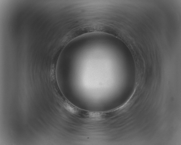 X0000070160144200605261139