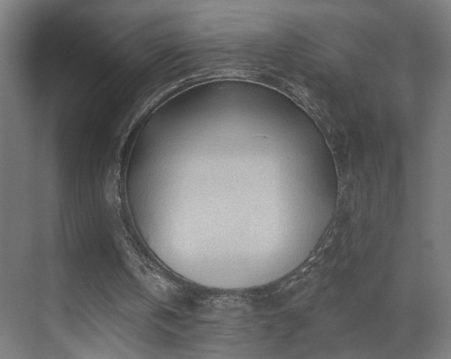 X0000070160146200605261139