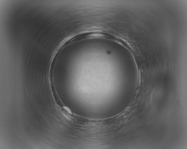 X0000070160147200605261139