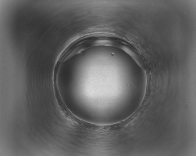 X0000070160148200605261139