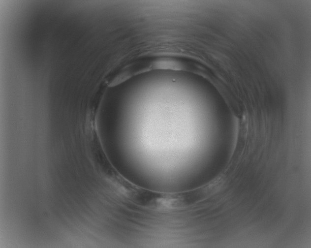 X0000070160172200605261139