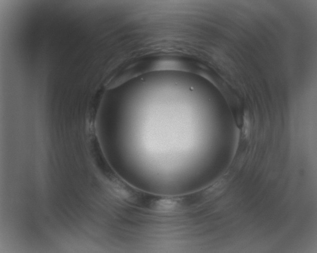 X0000070160176200605261139