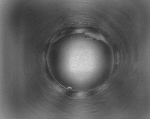 X0000070160184200605261139