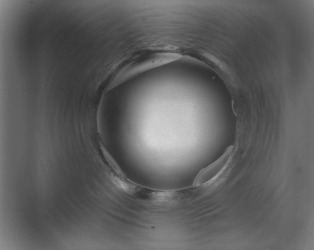 X0000070160192200605261139