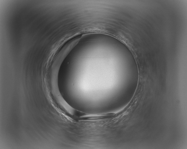 X0000070160193200605261139