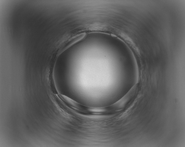 X0000070160201200605261138