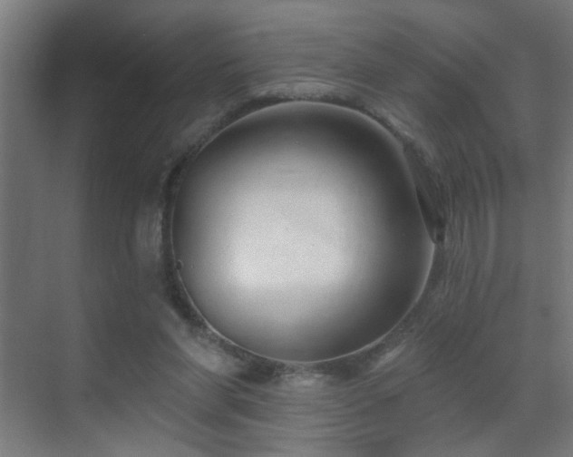 X0000070160206200605261138