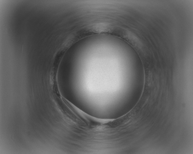 X0000070160210200605261138