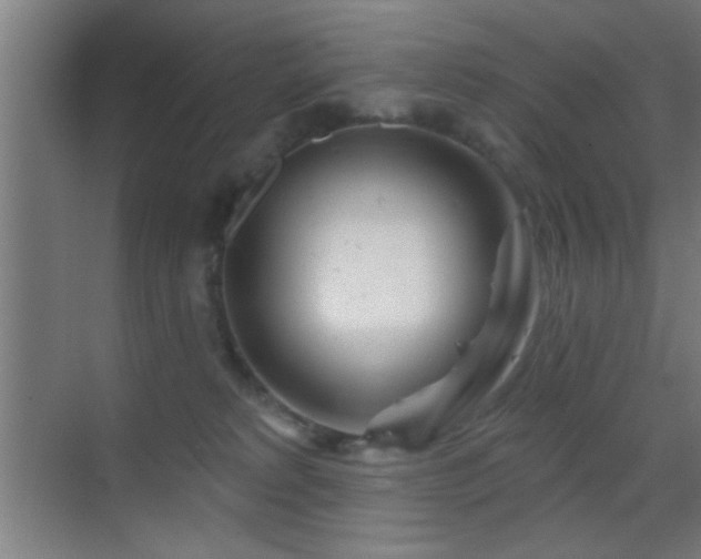 X0000070160229200605261138