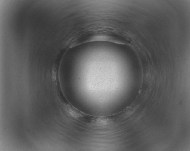 X0000070160282200605261138
