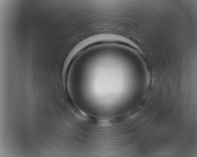 X0000070160287200605261138