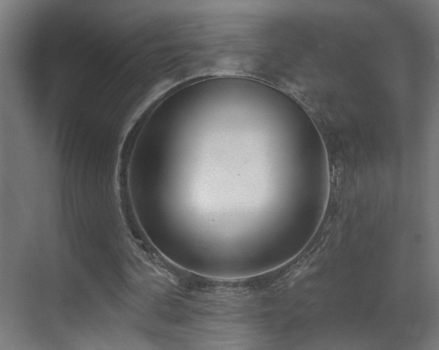 X0000070160292200605261137