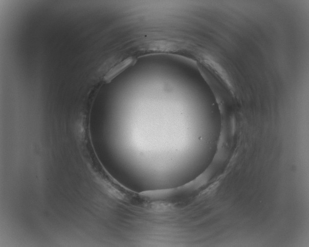 X0000070160305200605261137