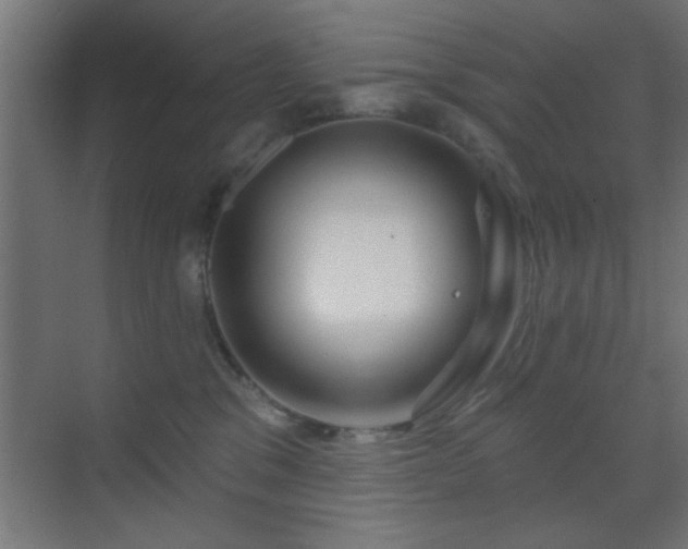 X0000070160329200605261136