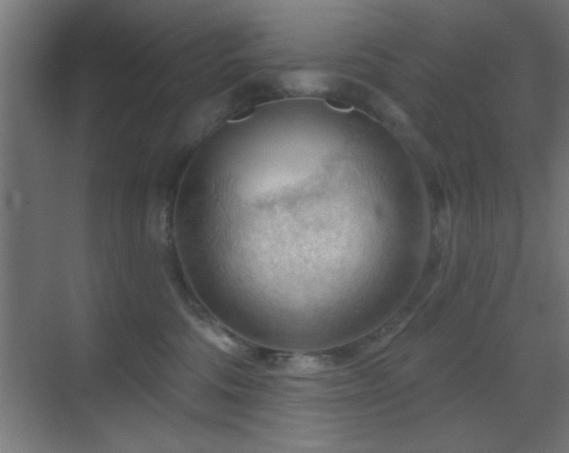 X0000070160330200605261136