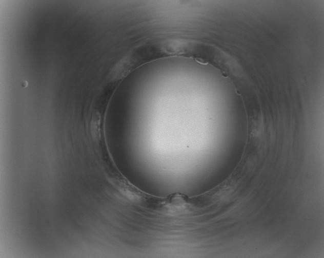 X0000070160332200605261136