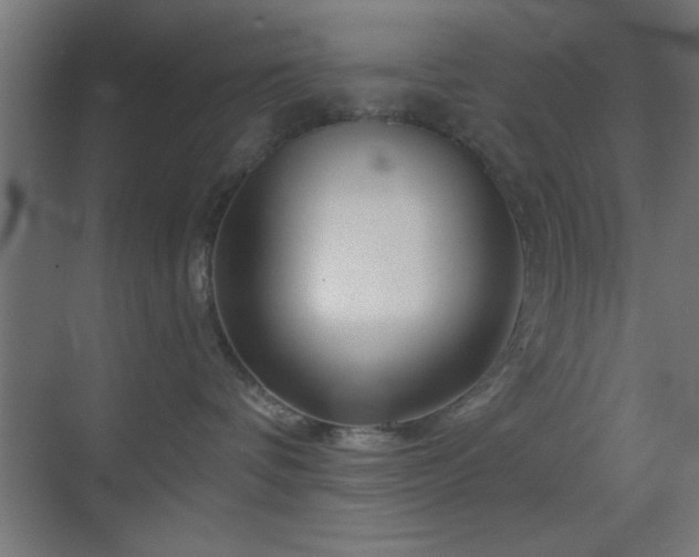 X0000070160336200605261136