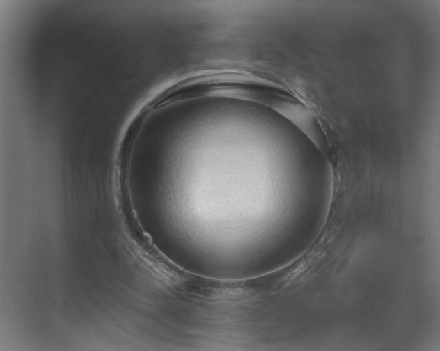 X0000070160342200605261135