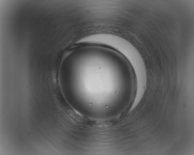 X0000070160368200605261136