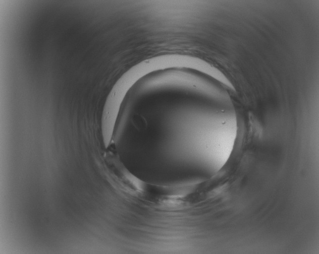 X0000070160380200605261136