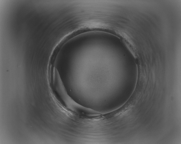 X0000070160391200605261135
