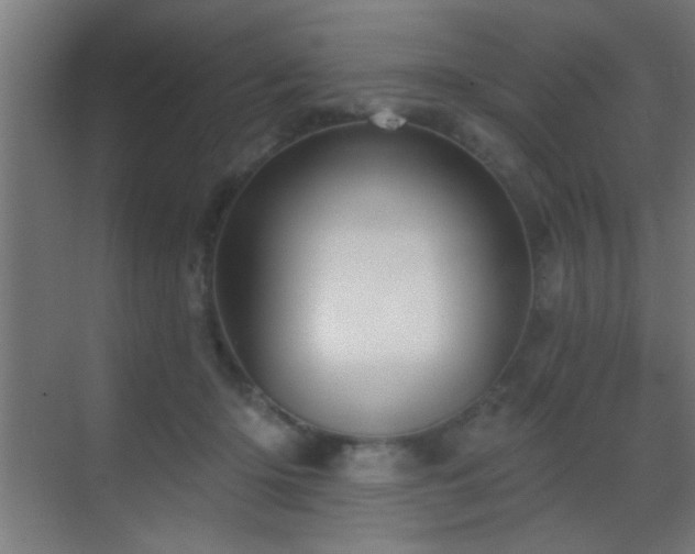 X0000070160414200605261135