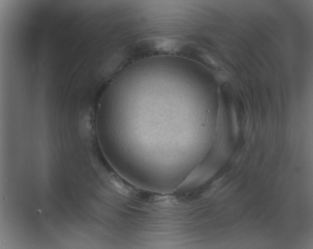 X0000070160424200605261135