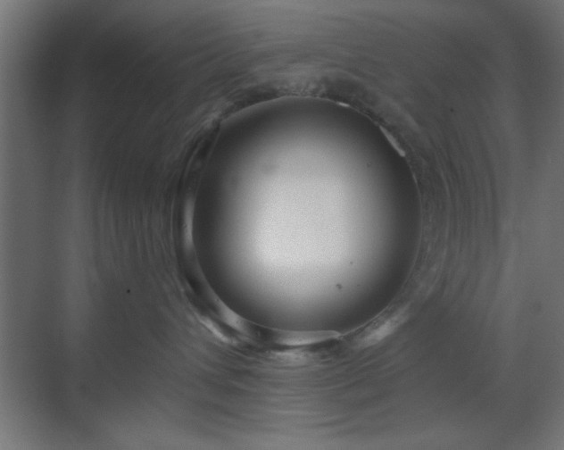 X0000070160432200605261135