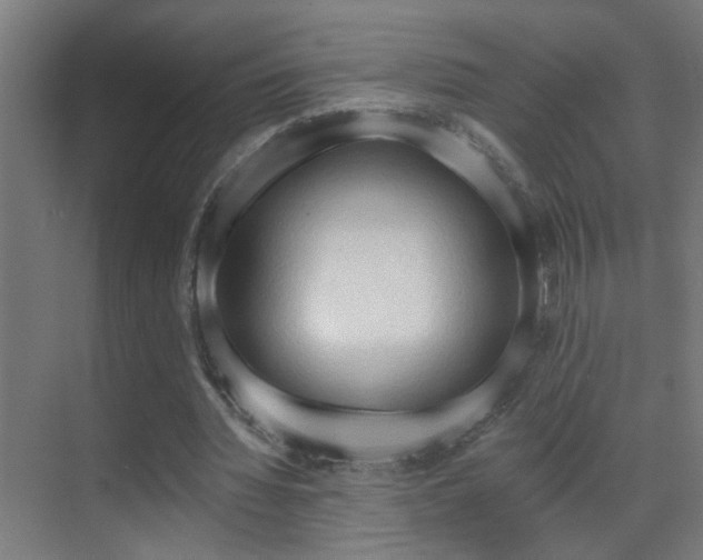 X0000070160436200605261134