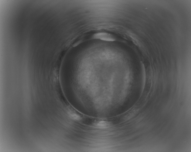 X0000070160467200605261134