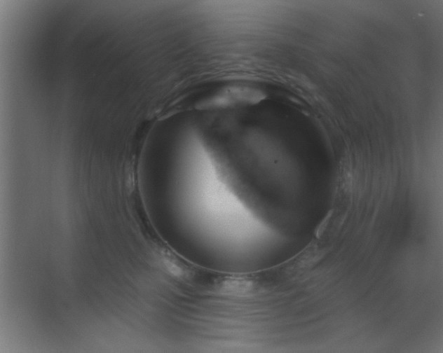 X0000070160471200605261134