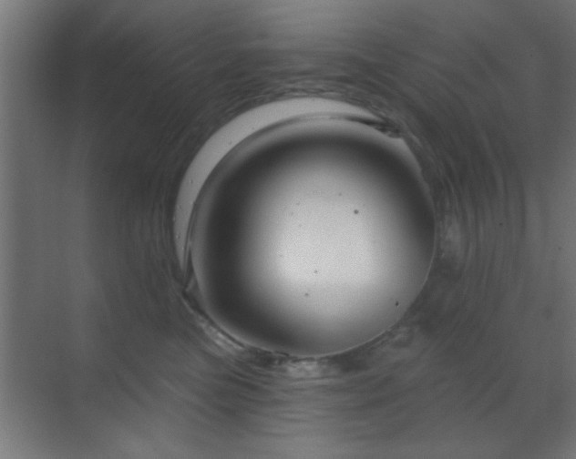 X0000070160473200605261134