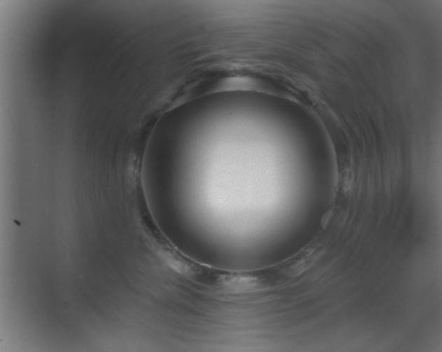 X0000070160476200605261134